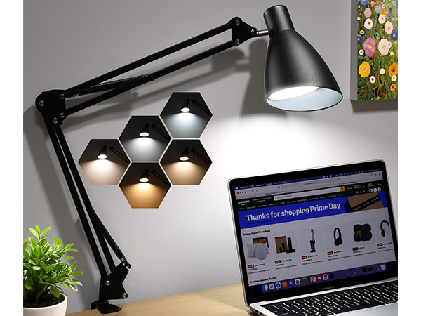LED Desk Lamp with Clamp