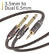 3.5mm to Dual 6.5mm