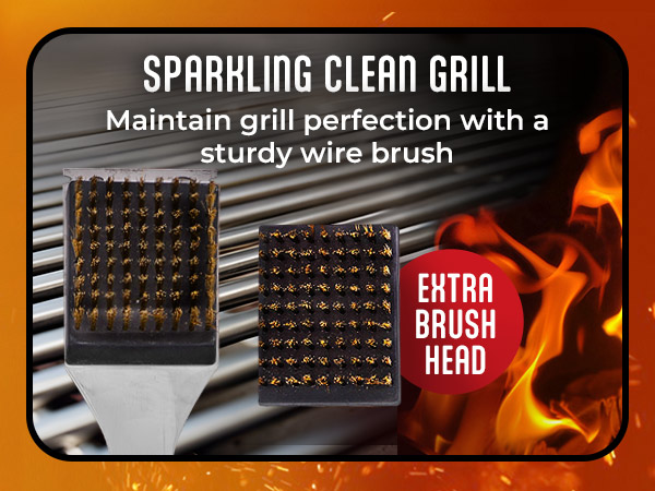 Sparkling Clean Grill