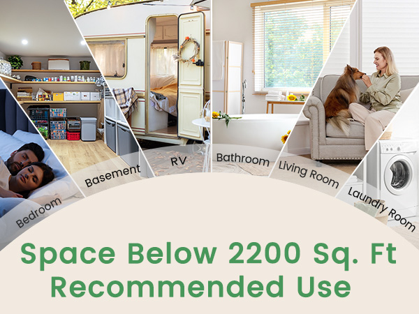 Energy Star Dehumidifier for Basement