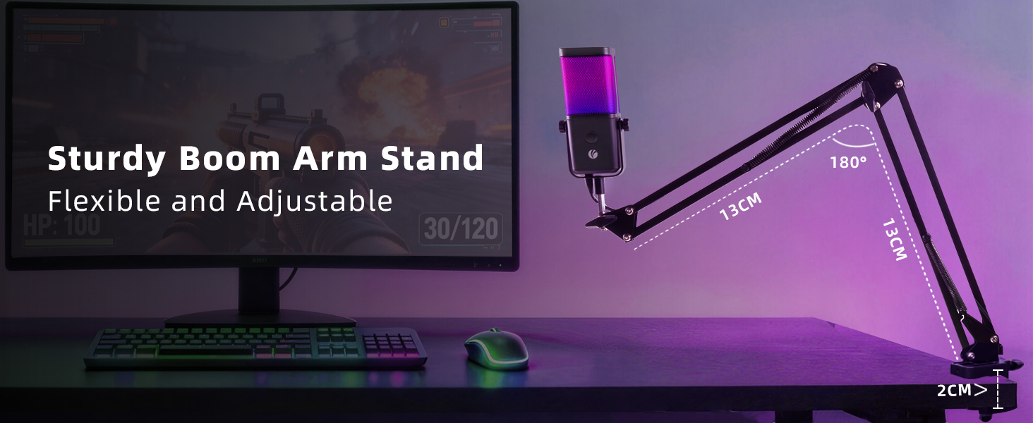 USB Microphone for PC