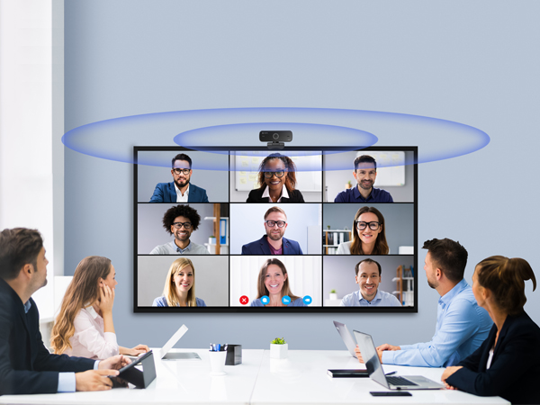 Noice-Canceling Dual Mic