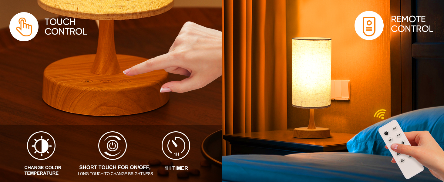 Flexible control mode- Touch control and Remote control
