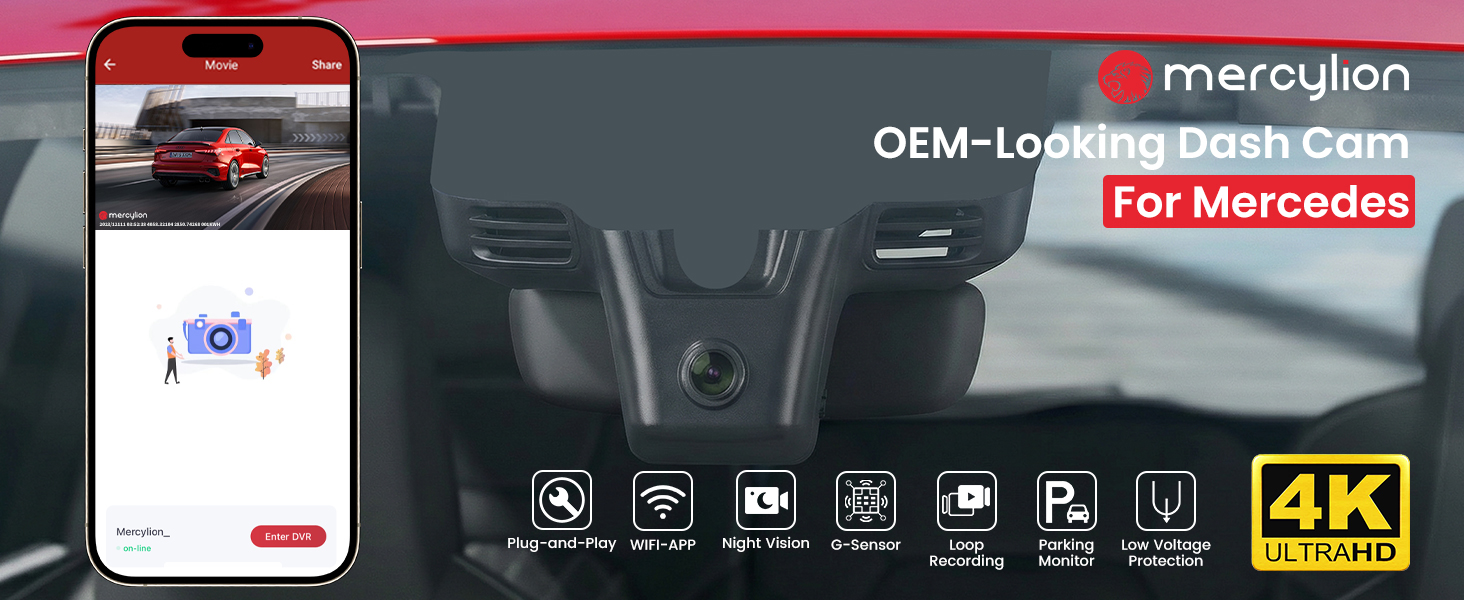 gle dashcam