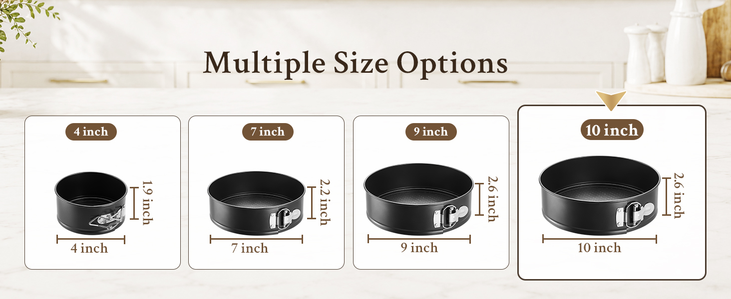 10 inch springform pan