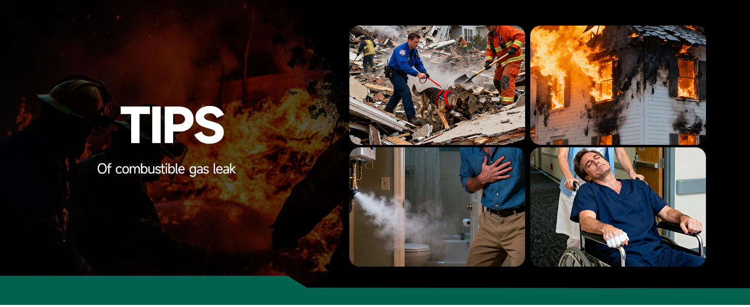 Natural Gas Leak Detector, Propane/Methane/Combustible Gas Detector, Home/RV Gas Leak Detector