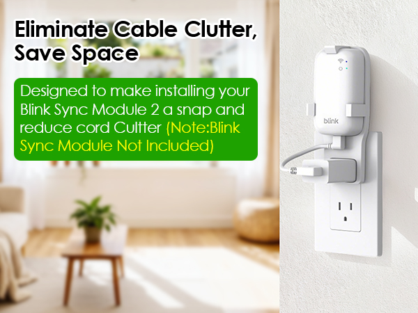 Blink Sync Module Core Mount