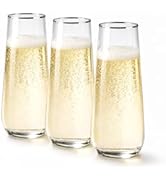 Lillian Clear Champagne Flute with Polished Silver Trim, 9 oz – Unbreakable Disposable Plastic Cu...