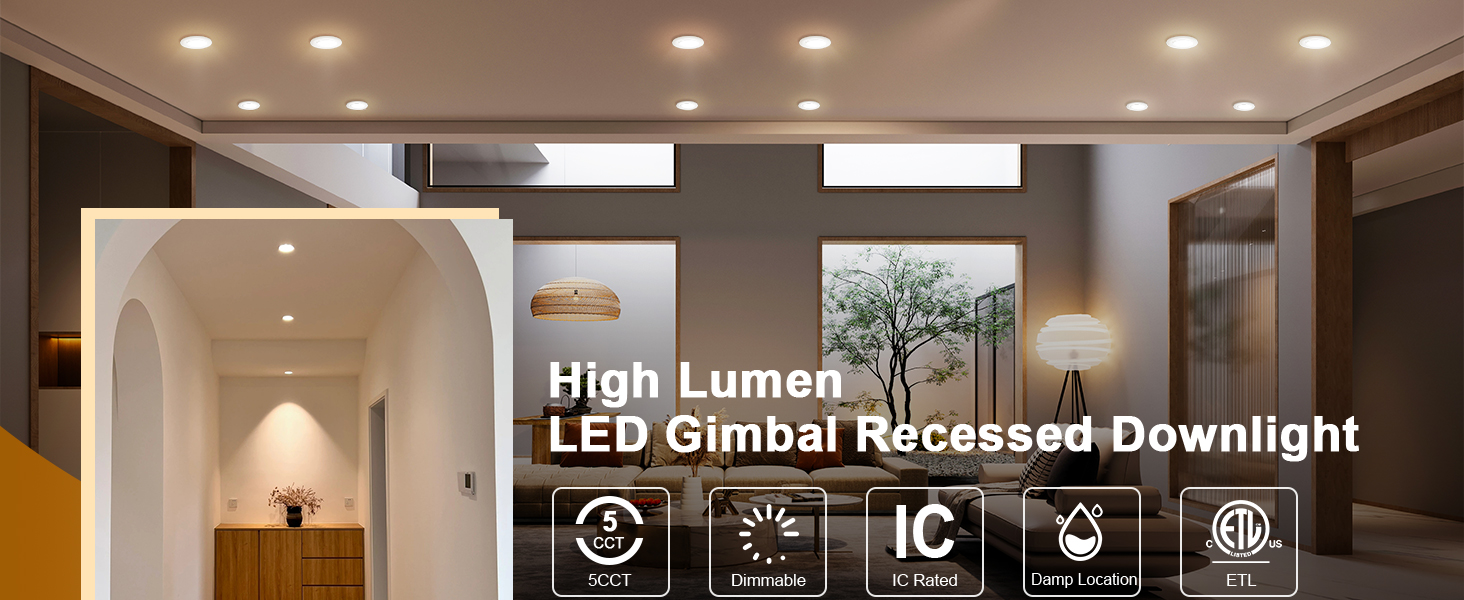 Gimbal Downlight
