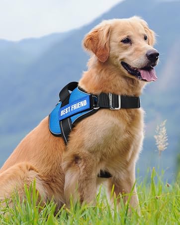 Essential Dog Harness