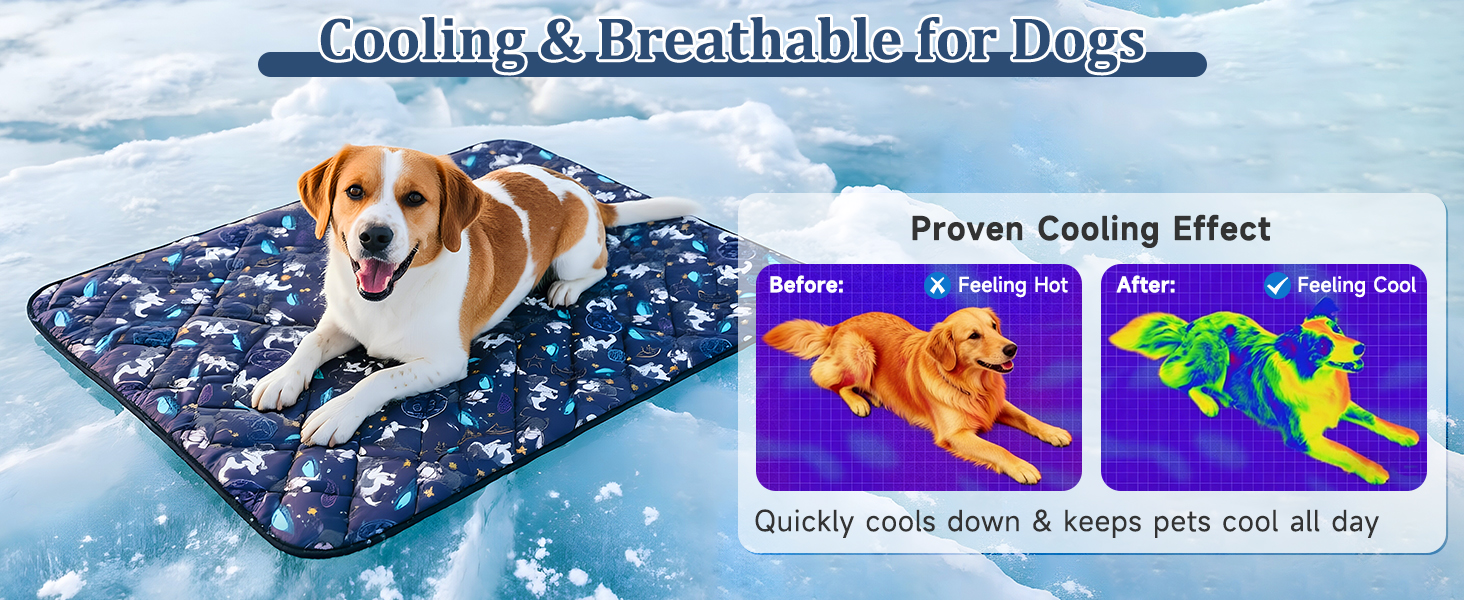 dog cooling mat