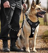 No Pull Tactical Dog Harness