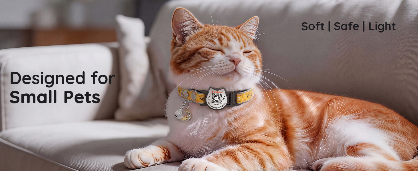 custom cat collar