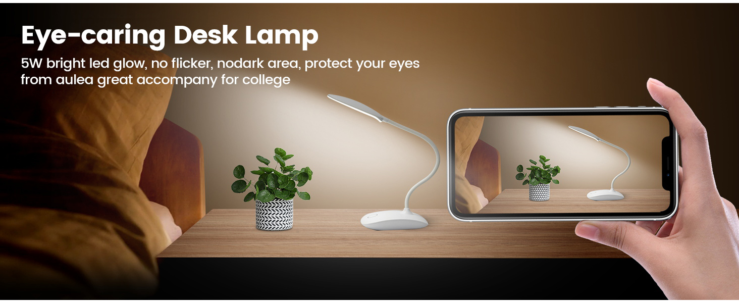 battery desk lamp