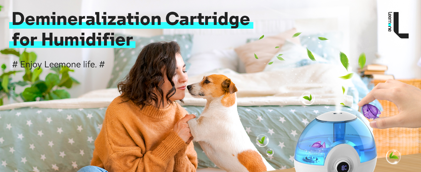 Demineralization Cleaning for Humidifier