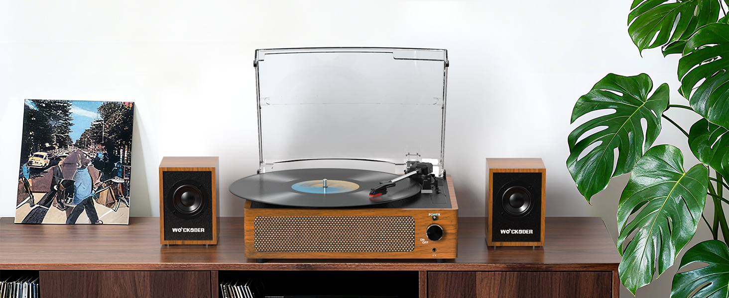 vinyl record player