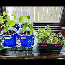 gaffer tape spike fluorescent gaffer power colors DIY no residue bright visible marking labeling