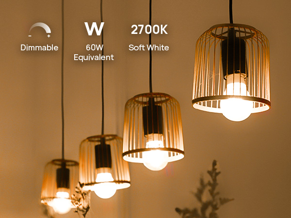 A19 Dimmable LED LIGHT BULBS
