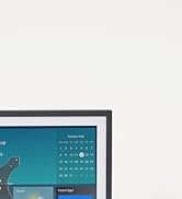 echo show 21 metal stand