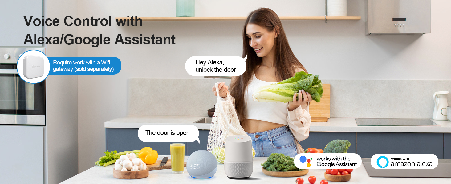work with alexa