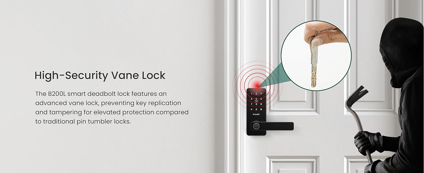 High-Security Vane Lock