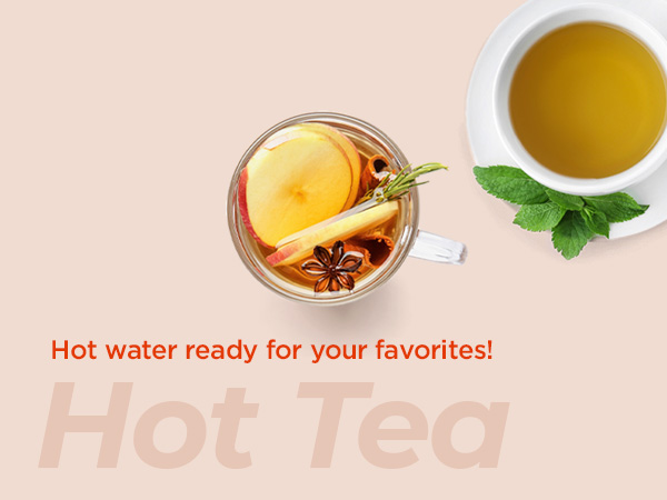 Electric tea kettle electric kettles for boiling water hot water kettle electric water heater 