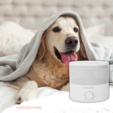 Keep Your Pet Comfortable