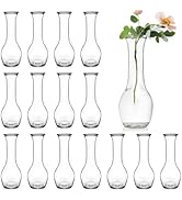 ZOOFOX Set of 16 Glass Bud Vase, Small Vases for Flowers, Clear Glass Flower Bottle for Rustic We...
