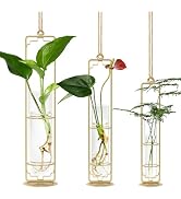 MIPON Metal Hanging Plant Propagation Station,3 Size Glass Test Tube Hydroponic Planter,Boho Wall...
