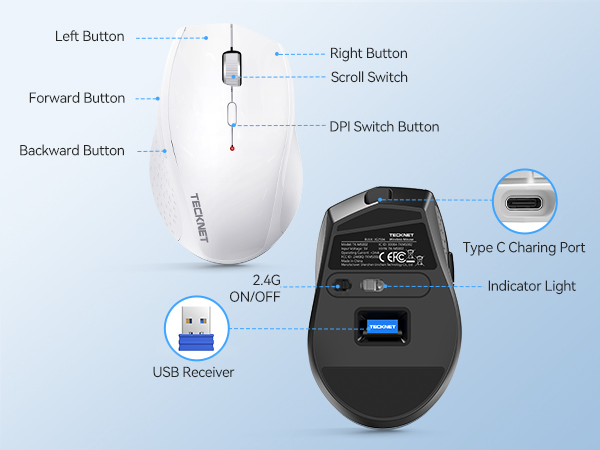 mouse