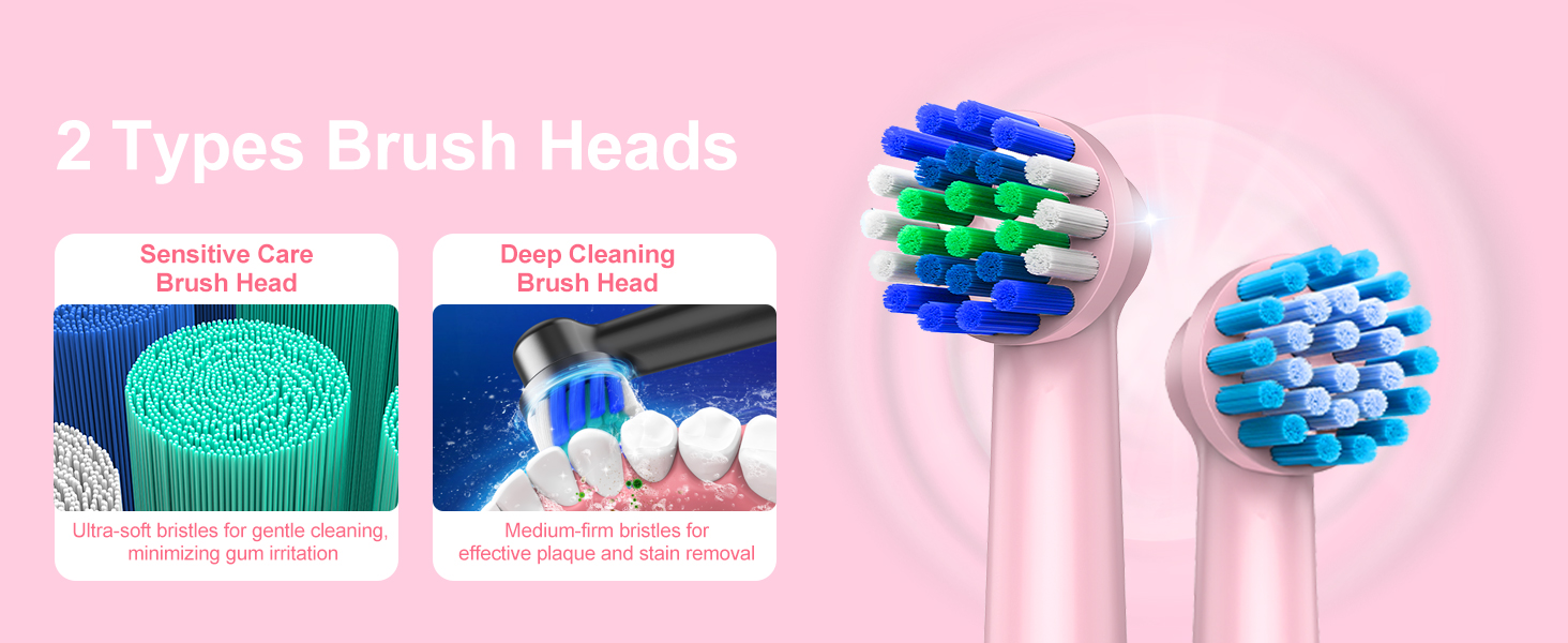 Electric Toothbrush for Adults