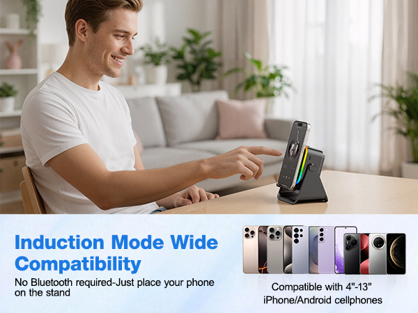 TARKARI Wireless Induction Speaker,