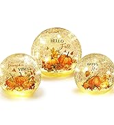NEEDOMO Thanksgiving Table Decor, Set of 3 Teardrop Crackle Glass Ball with LED Lights Timer Pump...
