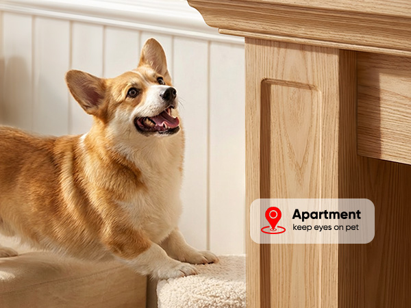 battery powered pet camera