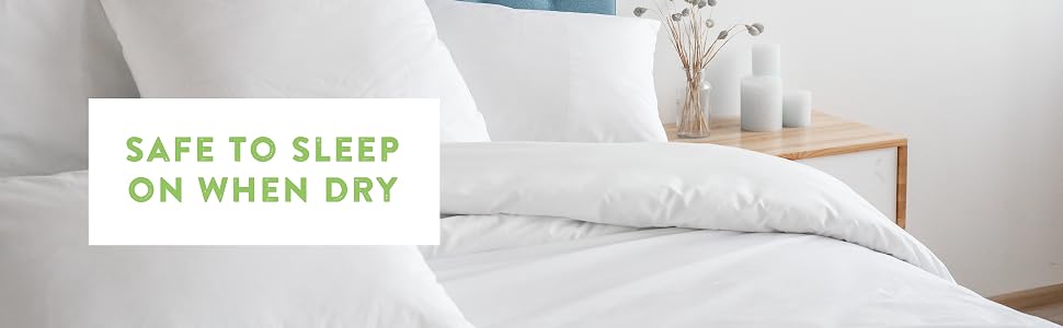 Bed Bugs