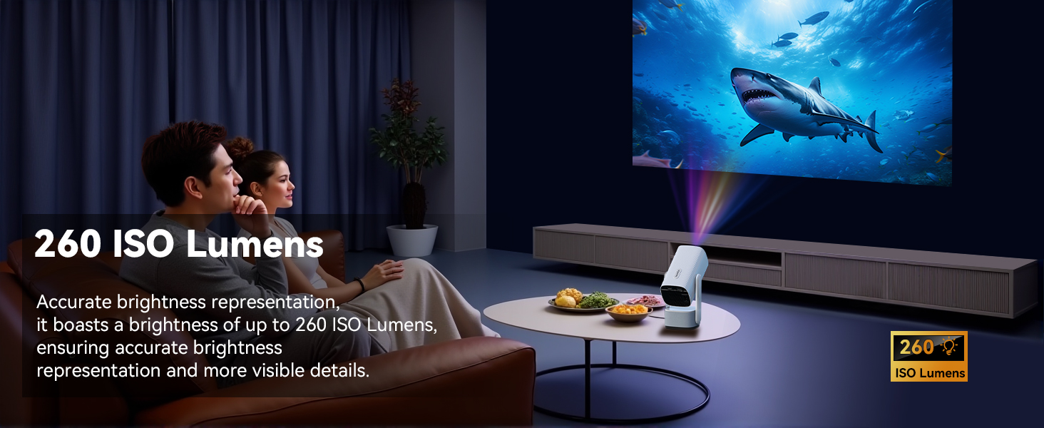 260ASNI Movie projector