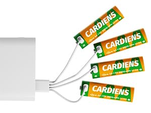 rechargeable batteries