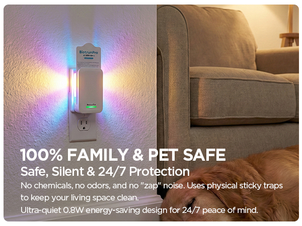 fly killer gnat killer plug in best safe electric flying insect trap fruit fly bug blue UV light