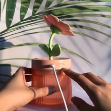 Portable Cool Mist Humidifier Diffuser Top Fill Water with Colorful Night Light