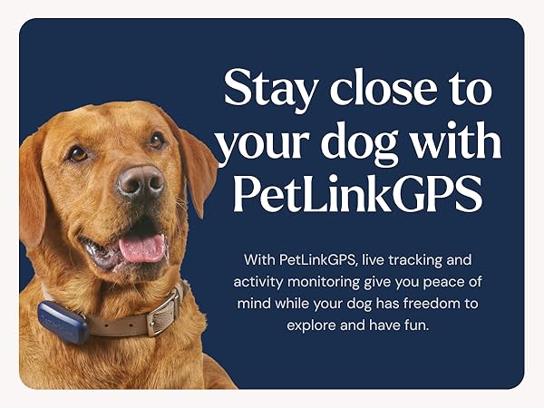 gps dog tracker