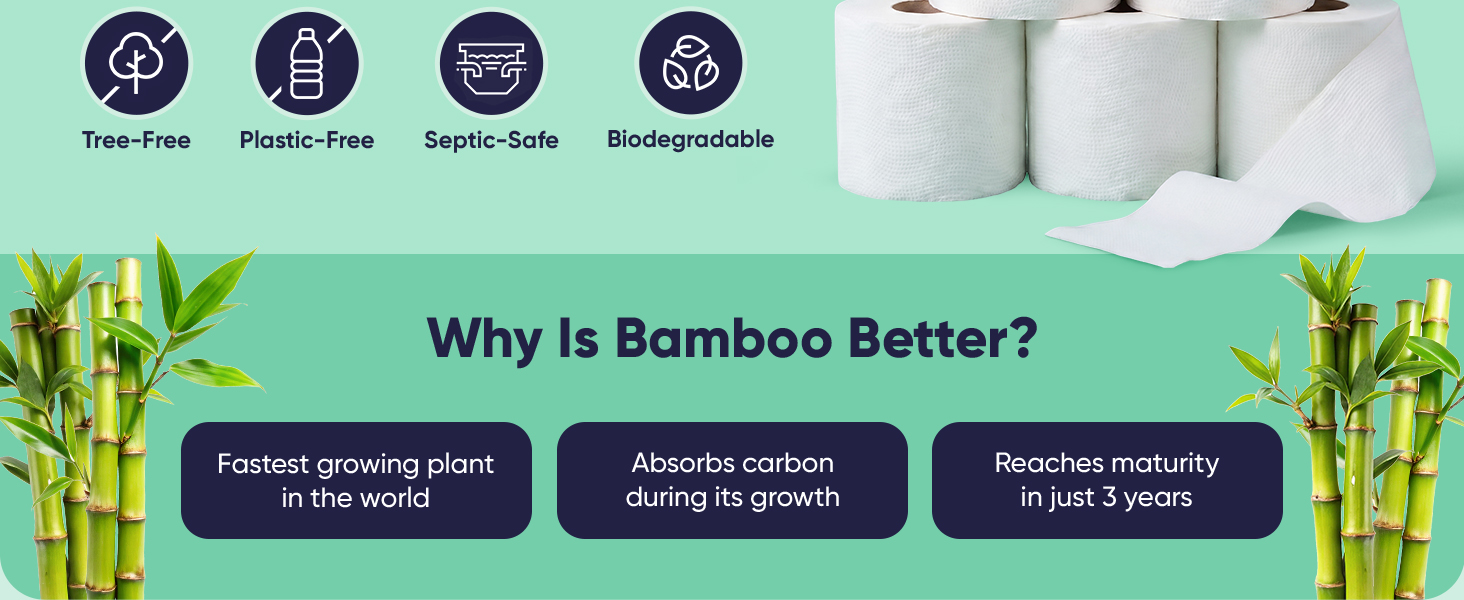 toilet paper bamboo ply free organic recycled septic safe individually wrapped sustainable products
