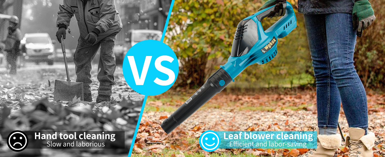 Leaf Blower Cordless