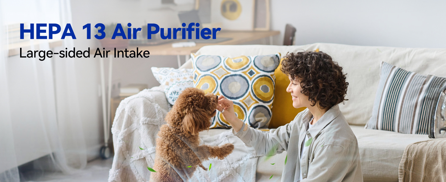 Air Purifiers