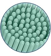 7am2m toothbrush heads