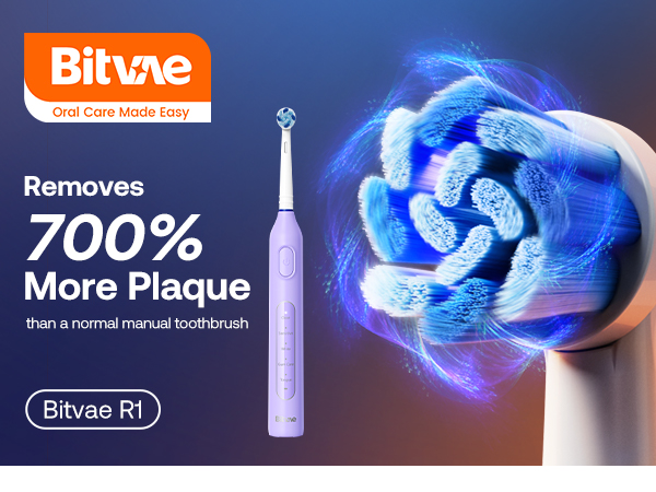 Electric toothbrush