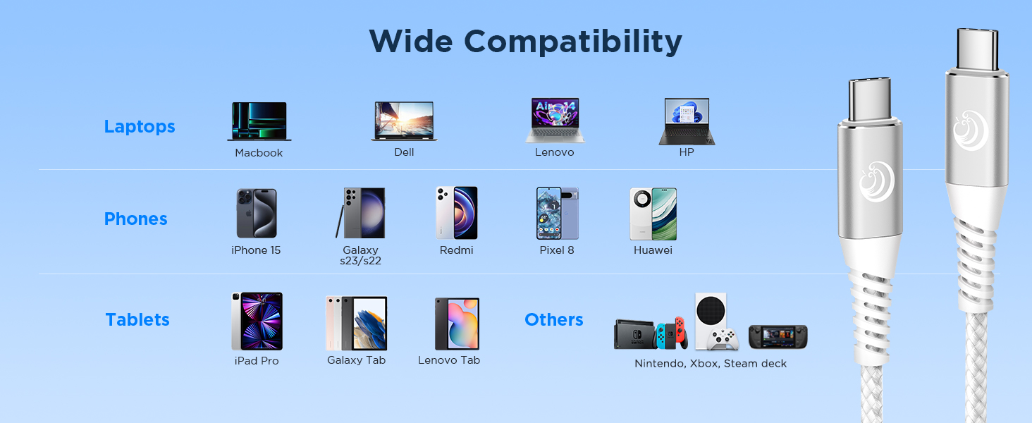 C to C charging cord