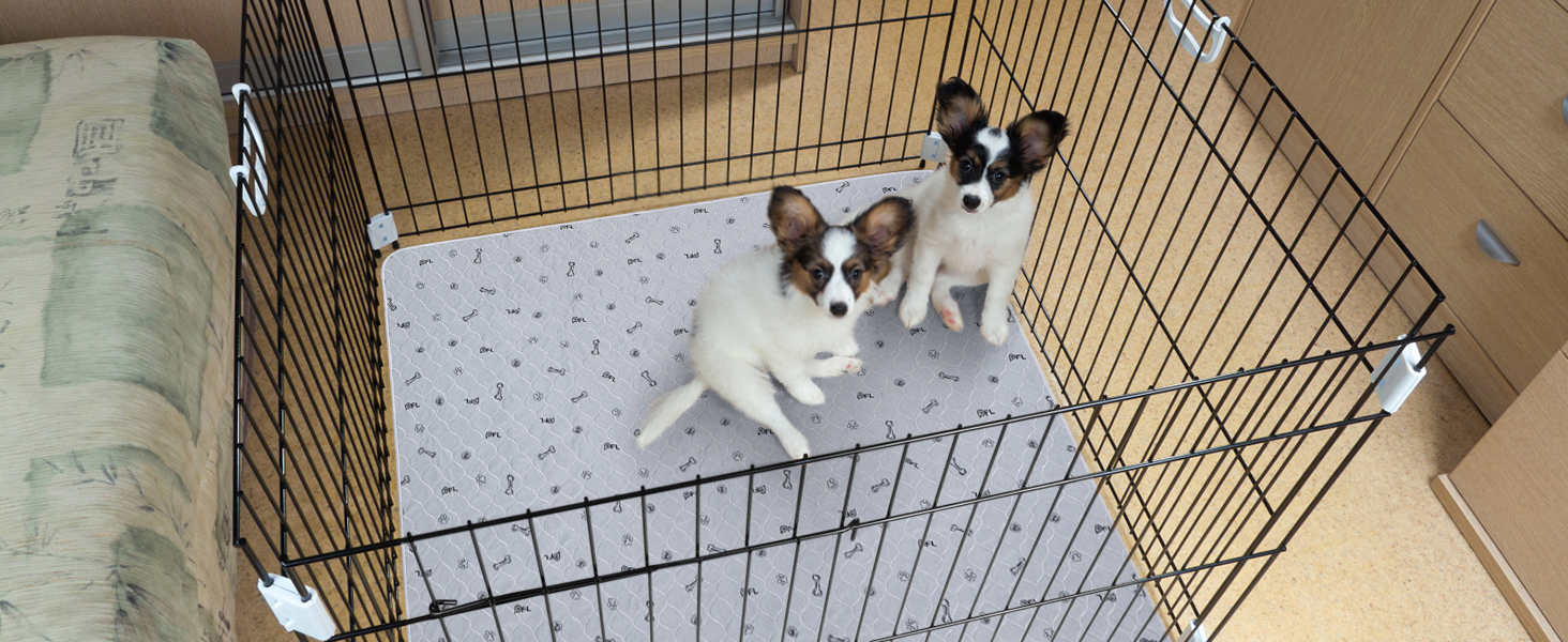 wasahble dog pee pads