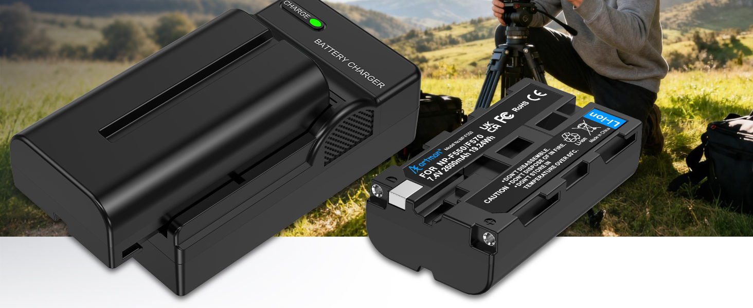 np-f550 battery