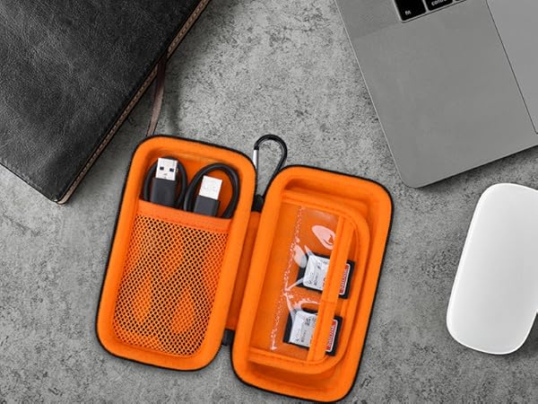 sandisk ssd carrying case