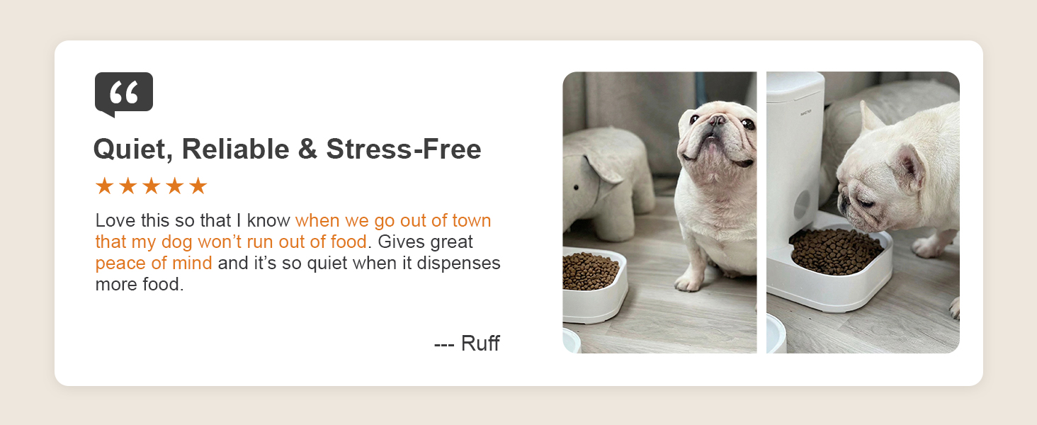 automatic dog feeder